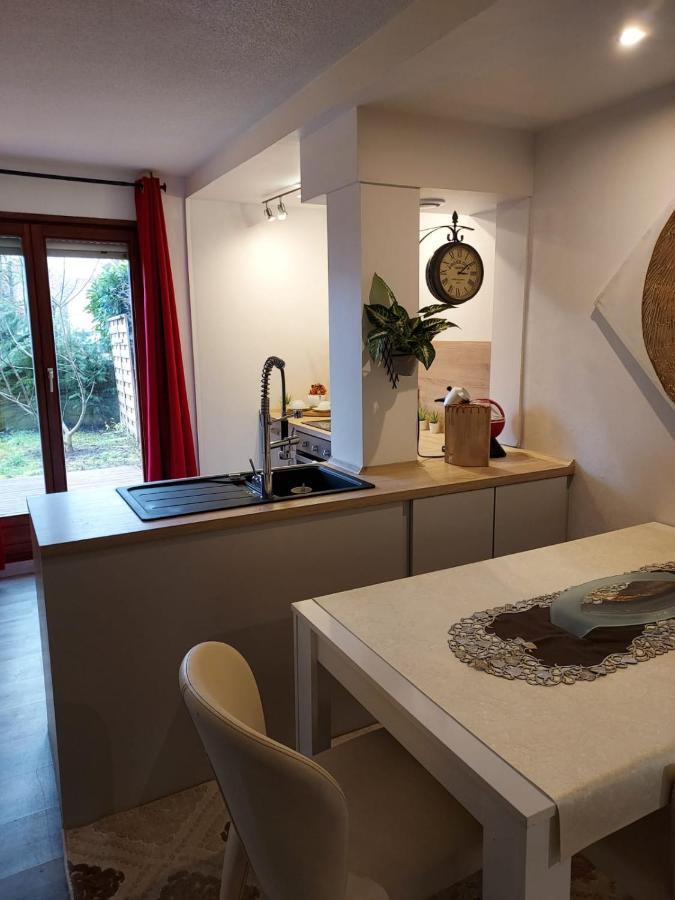 Residence Du Vieux Chateau Jardin & Parking Gratuit Мюлуз Екстериор снимка