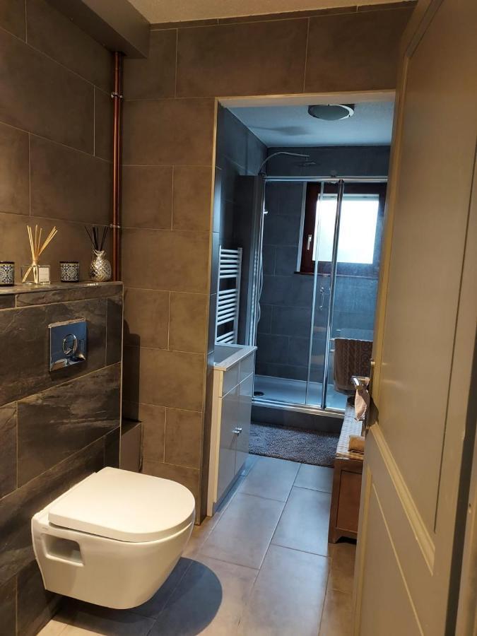 Residence Du Vieux Chateau Jardin & Parking Gratuit Мюлуз Екстериор снимка