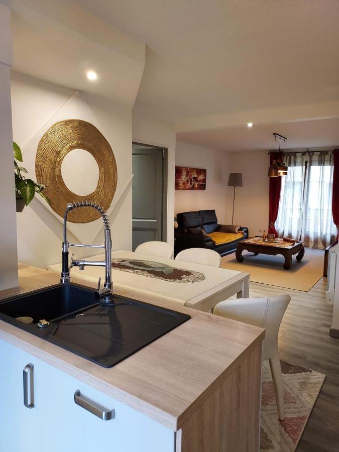 Residence Du Vieux Chateau Jardin & Parking Gratuit Мюлуз Екстериор снимка