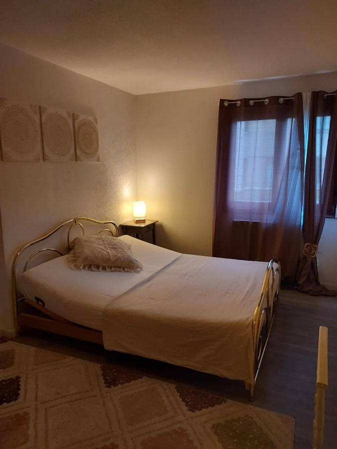 Residence Du Vieux Chateau Jardin & Parking Gratuit Мюлуз Екстериор снимка